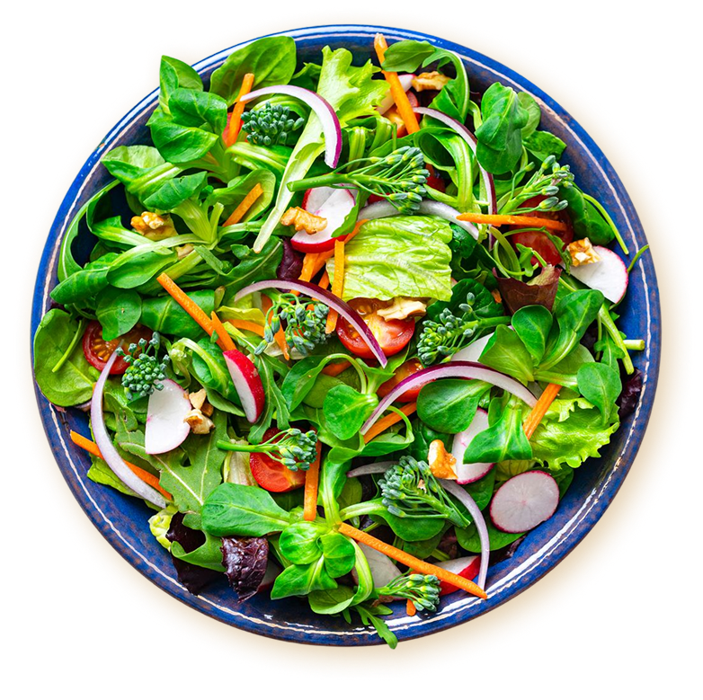 Colorful vegetable salad with greens